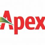 apex